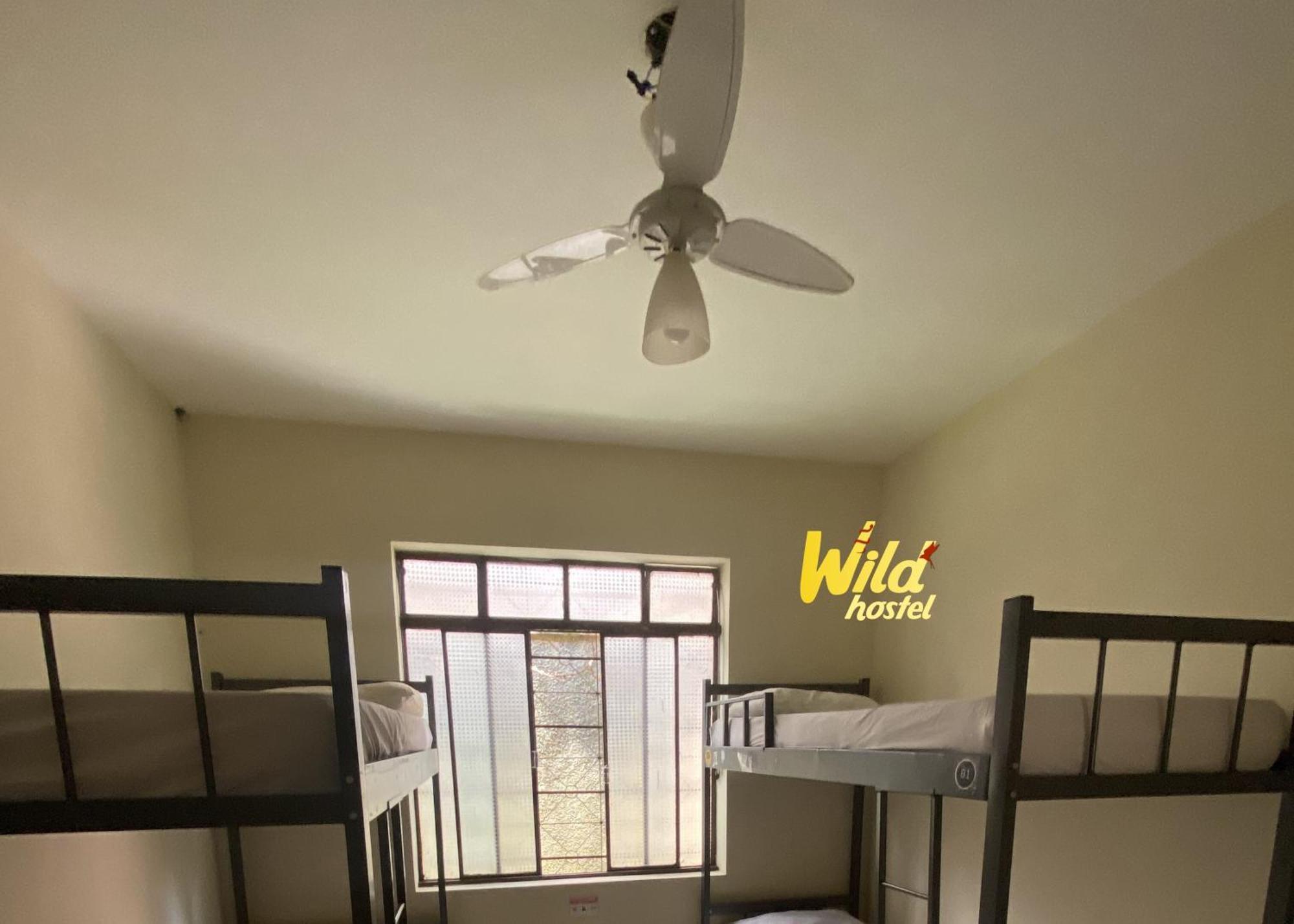 Wild Bh Hostel *