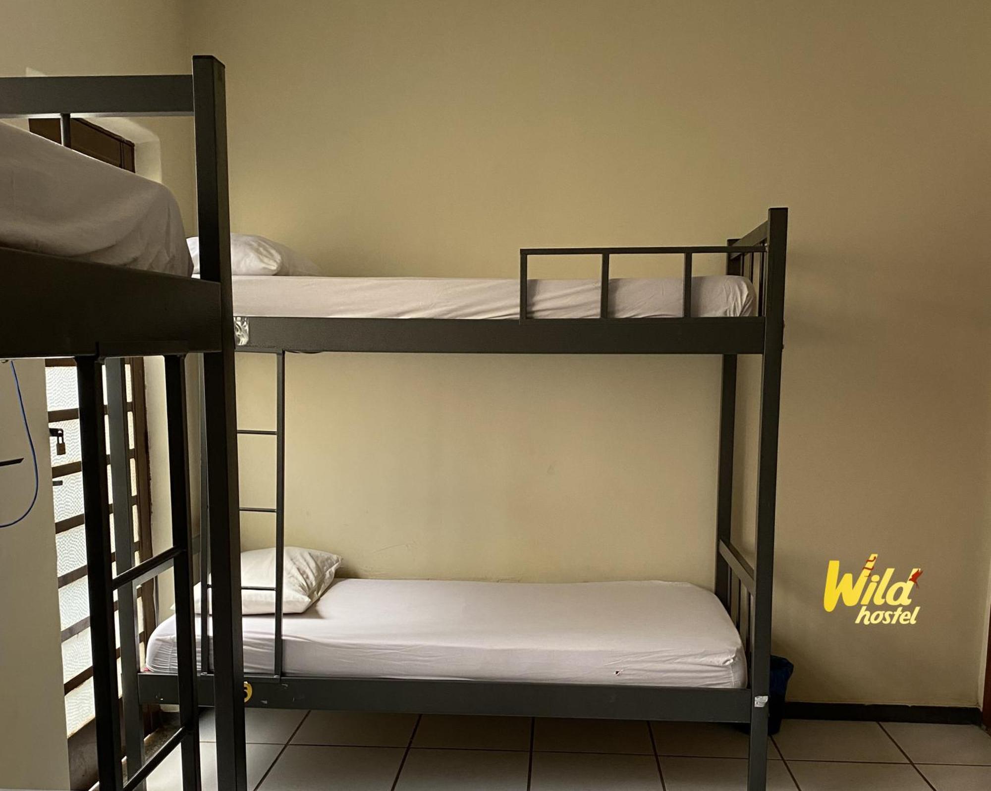 Hostel Wild Bh *