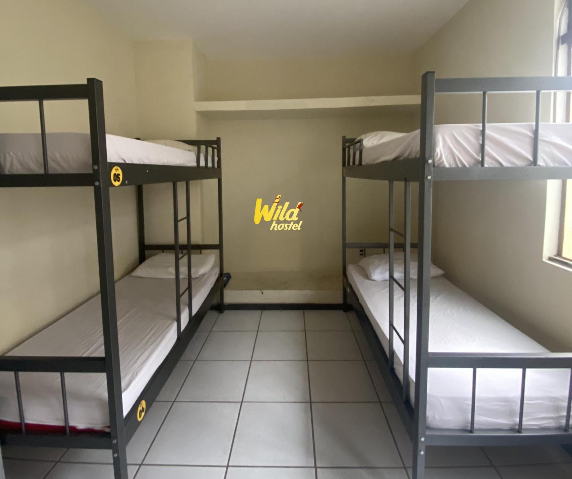 Wild Bh Belo Horizonte