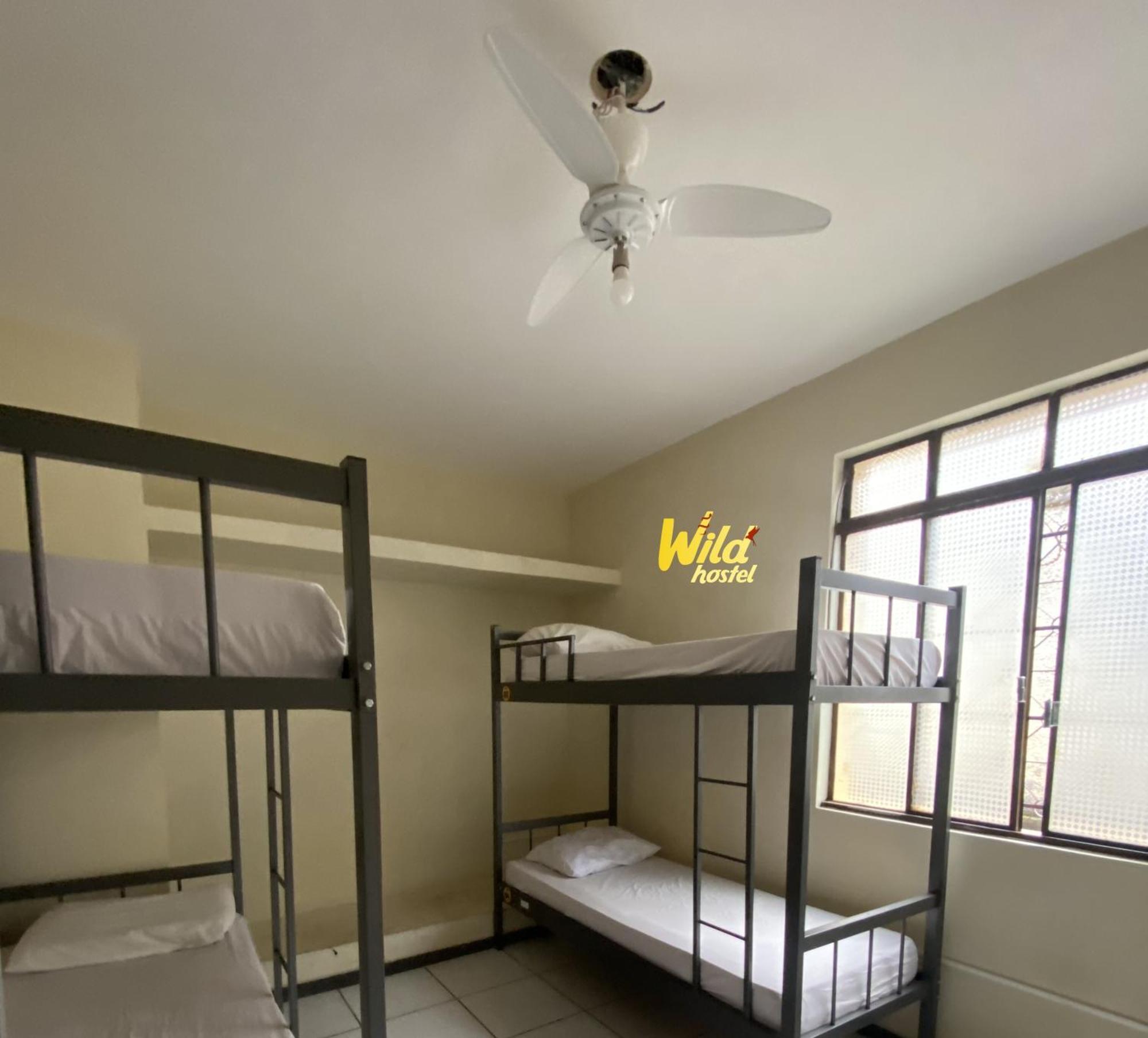 Wild Bh Hostel Belo Horizonte
