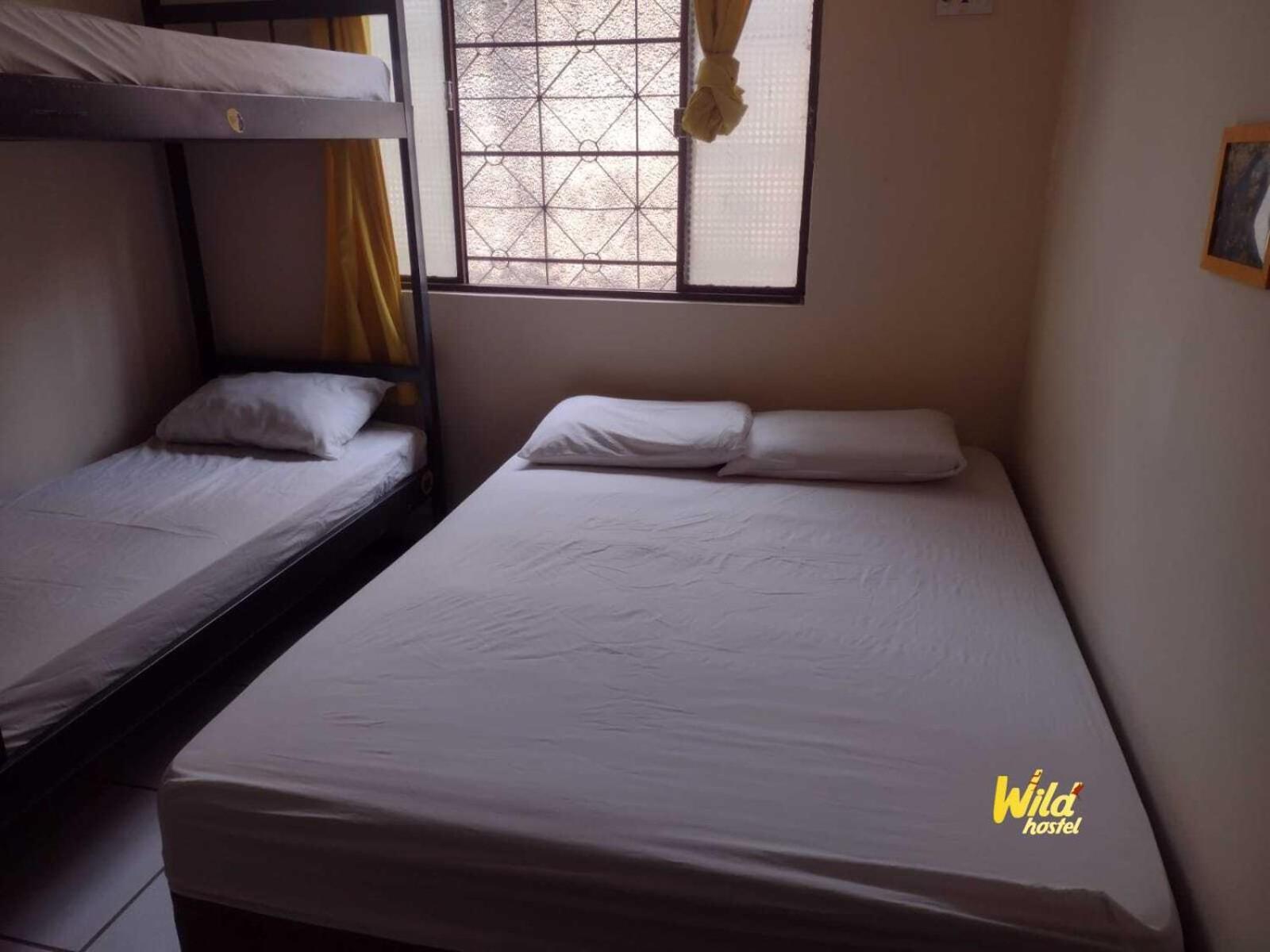 Hostel Wild Bh